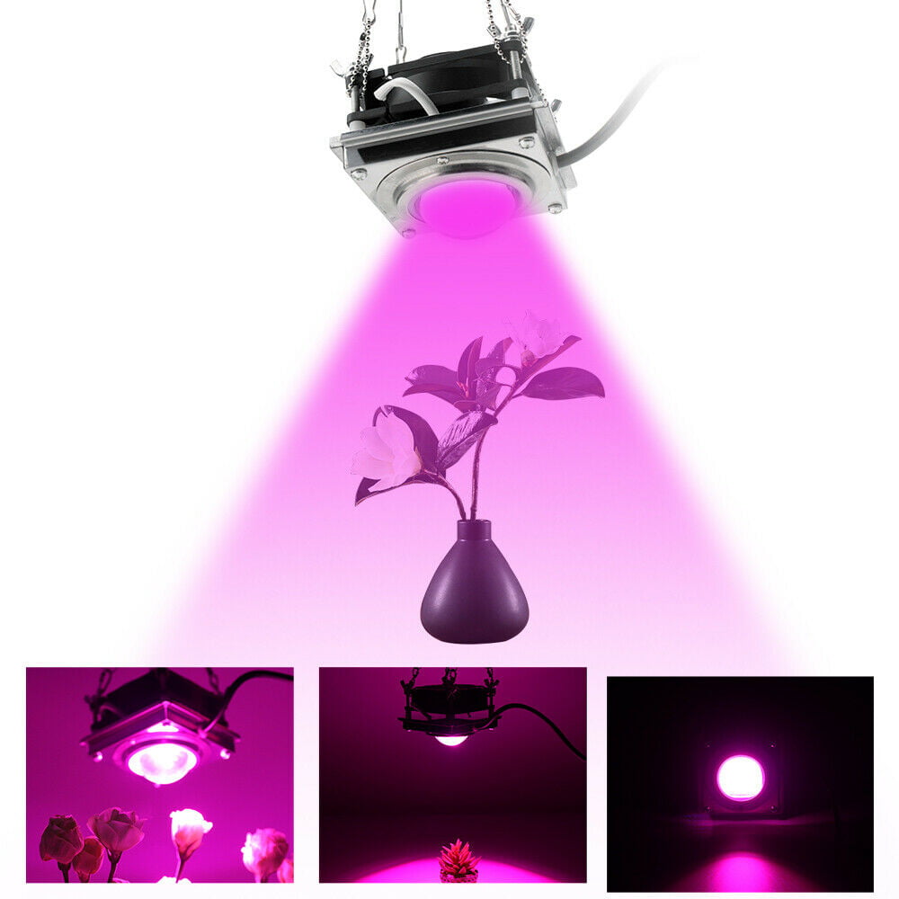 Full Spectrum 144 LED Grow Light Plant Growing Lamp for Indoor Plant Hydroponics 