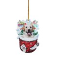 thumbnail image 1 of 1pc Christmas Acrylic Christmas Stockings For Dogs Decorations Christmas Tree Decorations Crafts Hanging Decorations, 1 of 9
