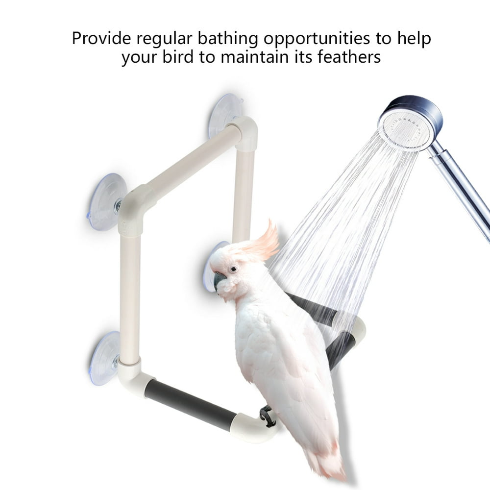 LYUMO Portable Parrots Birds Perch with Suction Cups Window Shower Bath