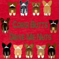 thumbnail image 3 of CafePress - Both Corgi Butts Ash Grey T Shirt - Womens Football Shirt, 3 of 4