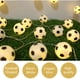 thumbnail image 2 of 16FT 20LED Luces de cadena Fútbol Fútbol en forma de luces de hadas LED Leyfeng luces de cadena, 2 of 7