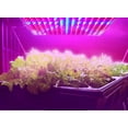 thumbnail image 3 of HQRP Quad-Band 14W 225 LED Blue / Red / Orange / White Spectrum Hydroponic Plant Grow Light Panel / Lamp + Hanging Kit, 3 of 7