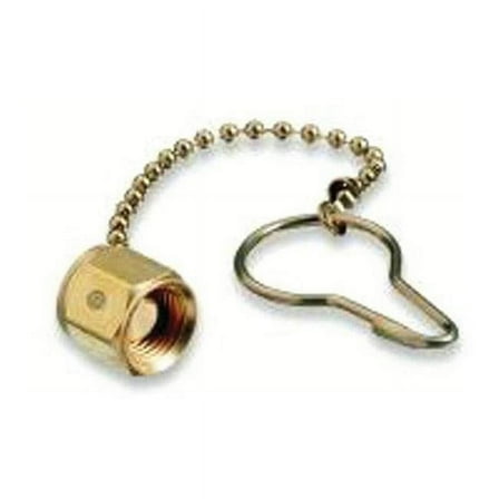 Chain and Plug Assembly, 2-Pc Nut and Plug Assembly, 3000 psig, Brass, Argon/Helium/Nitrogen, Brass