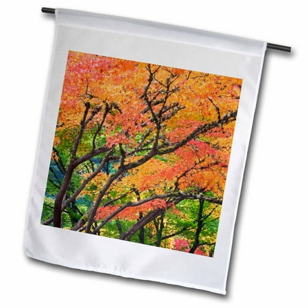 Outdoor Furniture Stores Portland Oregon 3dRose Oregon, Portland. Maple trees, Japanese Garden - US38 BJA0642 - Jaynes Gallery - Garden Flag, 12 by 18-inch ()