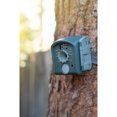 Wingscapes BirdCam MotionActivated Bird Camera 42 Megapixels