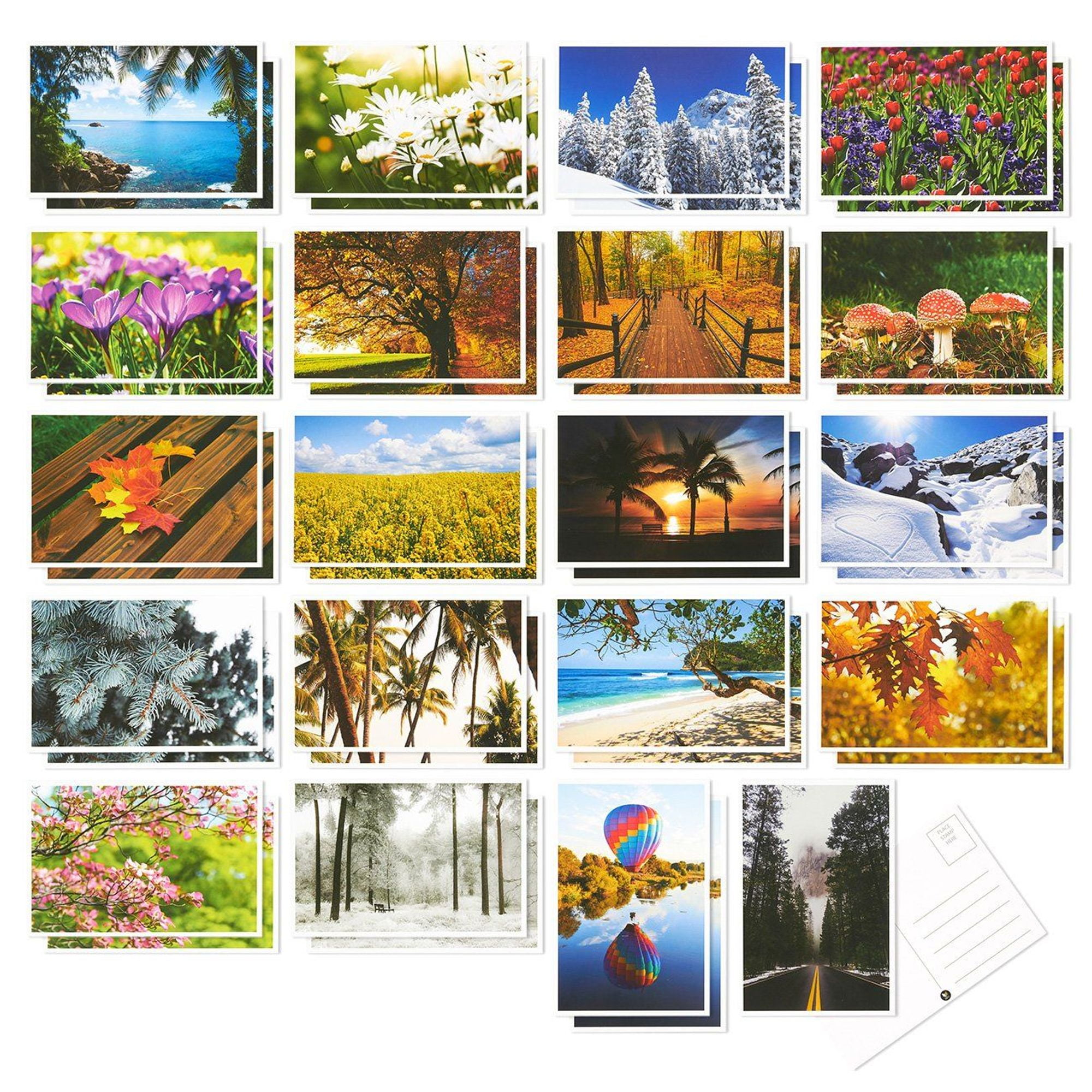 40 Pack Postcards Four Seasons Postcards Print Variety Pack Fall