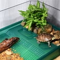 thumbnail image 4 of Turtle breeding box with lid sun drying table home landscaping, 4 of 8