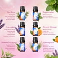thumbnail image 4 of HIQILI Pure Essential Oil Set, 6x10ml Gift Set for Massage Skin&Hair Care Diffuser  Diy Candles, 4 of 7