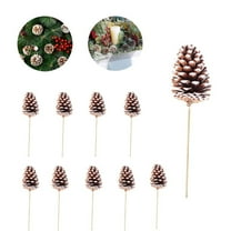 White Pine Cone,QZS Christmas Pine Cones Decorations,10Pack Durable Holiday Centerpiece,Portable White Pine Cones Picks for Home,Office