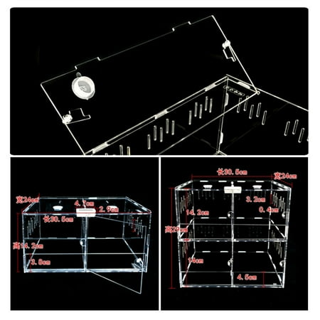 Fichiouy 4 Grids Reptile Vivarium Terrarium Lizard Cage Tank Climbing Spider Snake Pet Box Clear