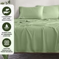 thumbnail image 4 of Superior 2-Piece Rayon From Bamboo Sage Pillowcases, Standard, 4 of 4