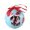 Bernese, variant on Christmas Dog Ball Ornaments Shatterproof Christmas Tree Decorations Large Hanging Ball Pendants with String for Xmas Tree, Holiday Wedding Party Decoration