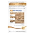 thumbnail image 3 of Clairol Nice 'n Easy Permanent Hair Color, 9.5PB/99 Natural Palest Blonde, 1 Kit, 3 of 7