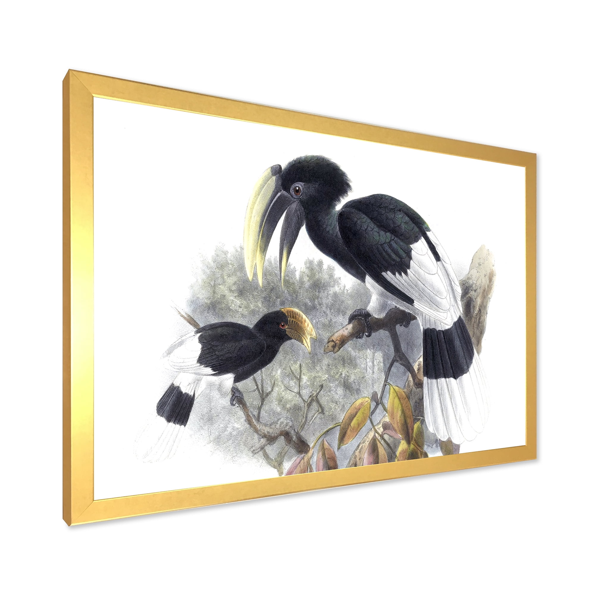 Designart 'Ancient Bird Illustration I' Traditional Framed Art Print