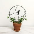 thumbnail image 3 of Climbing Bracket Creative Metal  Garden Lattice Metal Plant Flower Iron Frame, 3 of 6