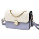 thumbnail image 1 of Bolso Bandolera Pequeño Para Mujer Bolso De Hombro De Cuero De Pu Bolso Pequeño Bolso De Embrague Bolso De Noche Versátil De ModaGris, 1 of 1