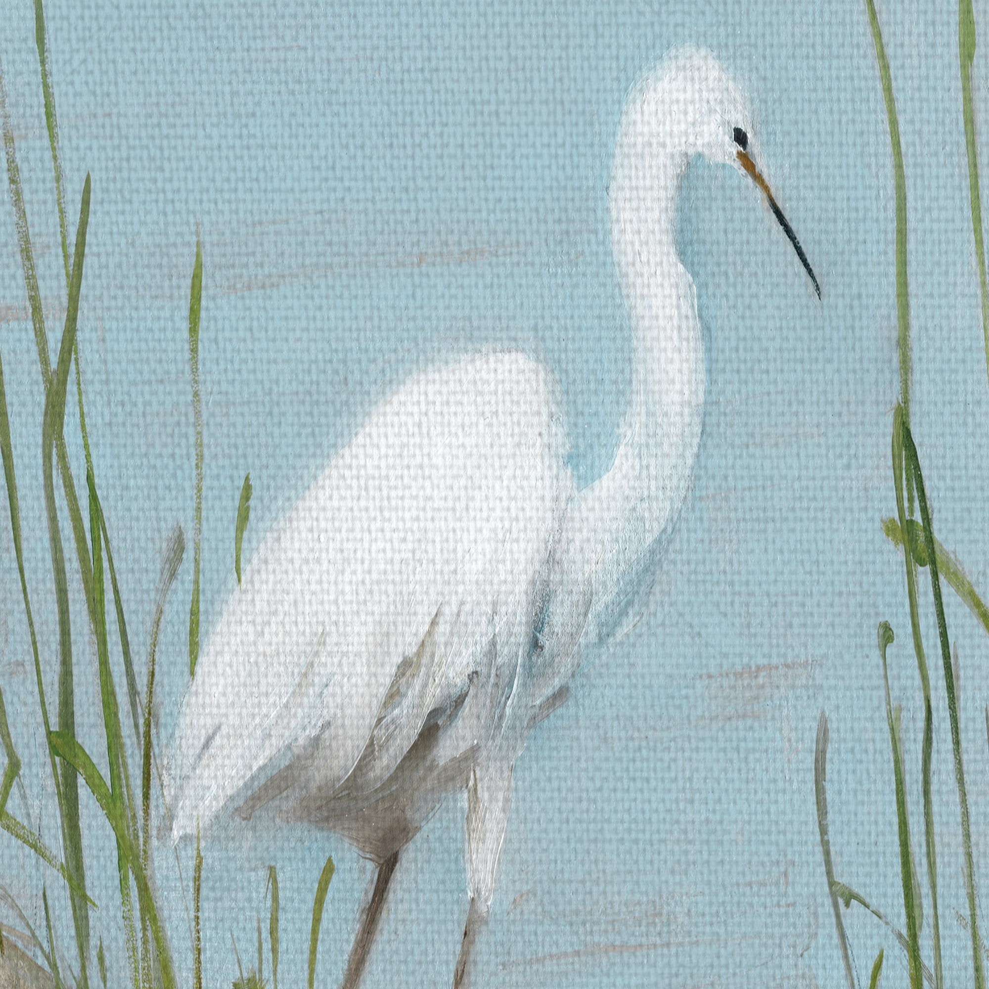 Masterpiece Art Gallery White Shorebird I & II by Sally Swatland Canvas Art Set of 2 (16" x 20")