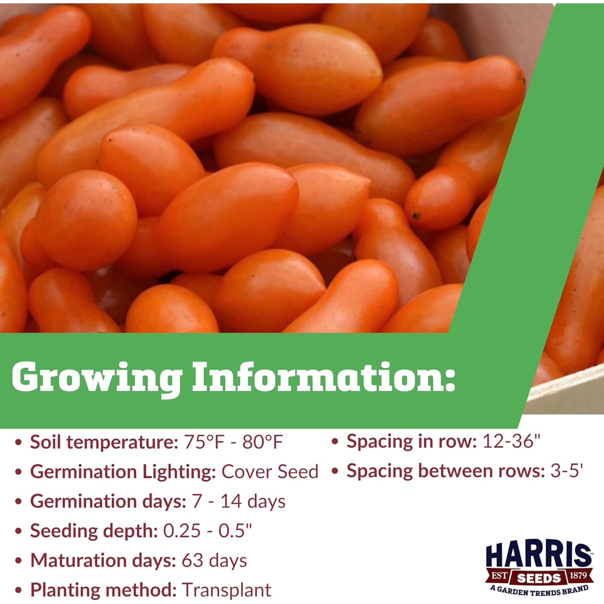 Harris Seeds - Non-GMO F1 Tomato Sun Dipper Seeds for Planting - 500 Seeds