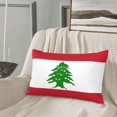 thumbnail image 7 of Lebanese-Flag Rectangle Throw Pillow Cover Cushion Case Hidden Zipper Home Decorative Pillowcase Printed 14"x20", 7 of 7
