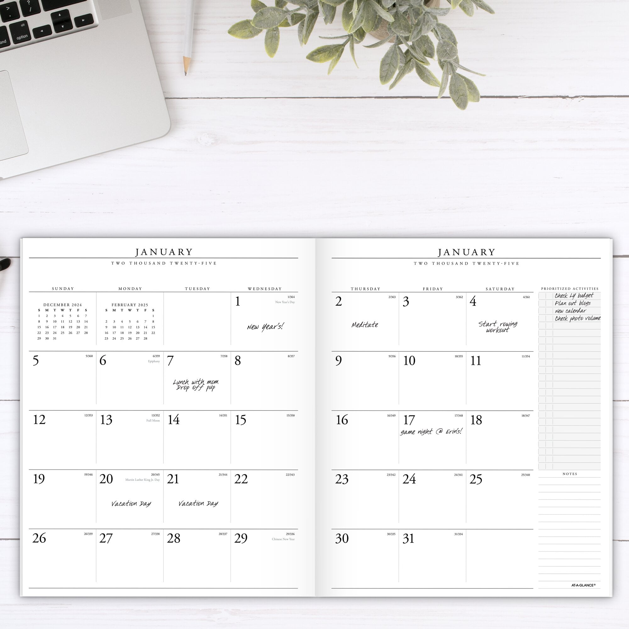 AT-A-GLANCE Weekly & Monthly Organizer Refills - View #9