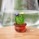 thumbnail image 4 of 4 Piezas de Adornos Interiores para AutomóViles, Figuras ArtíSticas de Cactus, DecoracióN del Hogar, Adornos de Cactus de Plantas en Miniatura para Manualidades de Escritorio A, 4 of 5