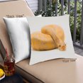thumbnail image 1 of Ahgly Company Animals Snake Coussin Extérieur, 18 Pouces par 18 Pouces, 1 of 1