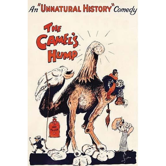 The Camel's Hump-Fine art canvas print (20" x 30")