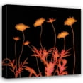 thumbnail image 1 of Ethan Jantzer 20x20 Gallery Wrapped Canvas Wall Art Titled - Delight, 1 of 4
