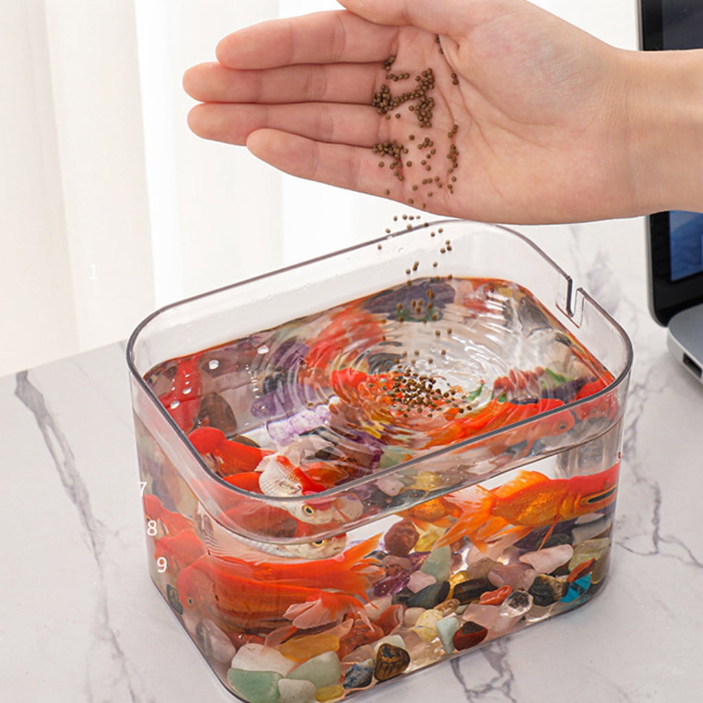 Simple Clear Aquarium With Integrated USB Oxygen Pumps Systems Great For Home and Office Use Easy to Use Fish Bowl