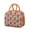 Orange-10, variant on Lunch Bag Lunch Box for Women Reusable Insulated Lunch Bags,Water-Resistant Orange Papaya Cooler Lunch Tote Bag, Large Capacity for Work Travel Picnic