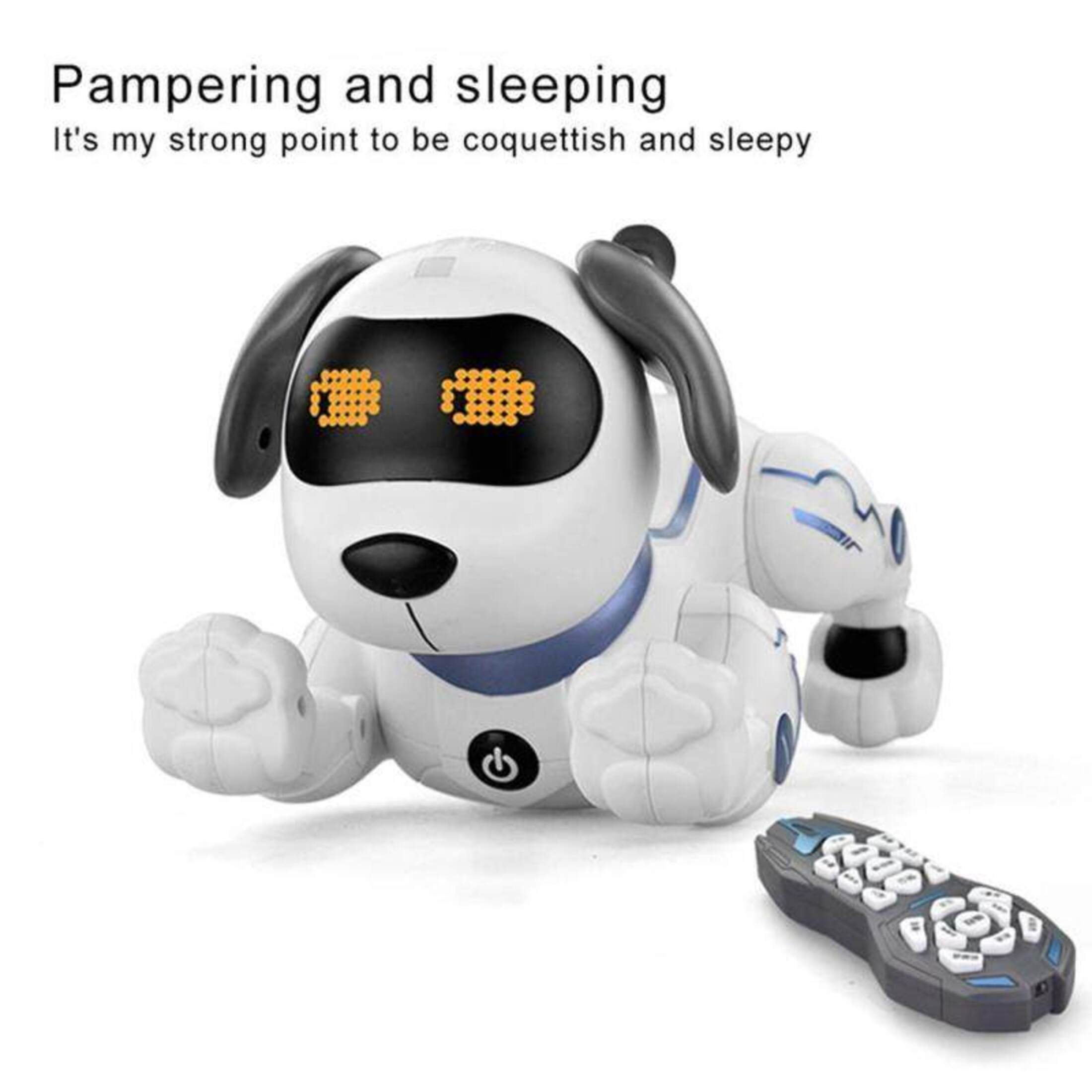 Funtogether Toy Remote Control Robot Dog, Interactive & Programmable RC Puppy that Sings, Dances, and Tells Stories, STEM Educational Toy for Kids Product Description Summary