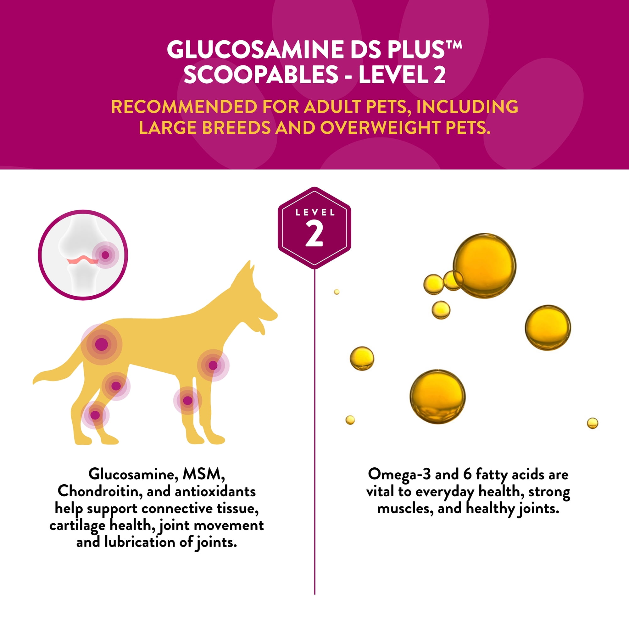 NaturVet Scoopables Glucosamine DS Plus Dog Supplements
