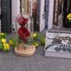 thumbnail image 4 of Rosa encantada de La Bella y la Bestia, rosa eterna en cúpula de cristal, rosa de seda roja romántica iluminada, regalos para mujeres, paquete de regalo perfecto para bodas, aniversarios, 4 of 7