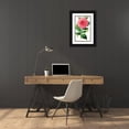 thumbnail image 3 of Anonymous 16x24 Black Ornate Framed Double Matted Museum Art Print Titled: Camellia Japoica Exquisite (1852-1861), 3 of 5