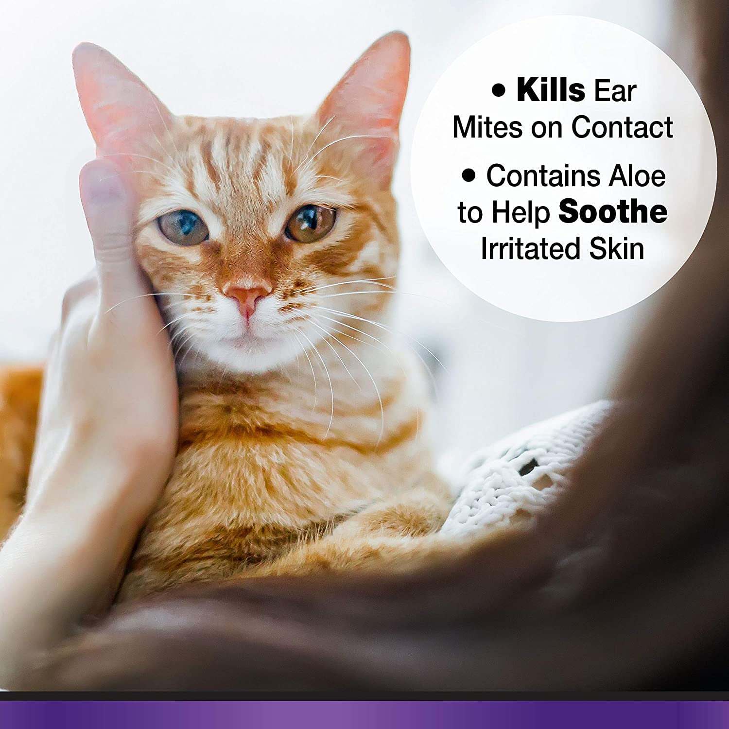 Four paws aloe ear mite treatment for cats cheap