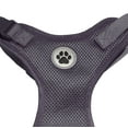 thumbnail image 4 of Vibrant Life Polyester Mesh Adjustable and Reflective Dog Walking Harness, Gray, XL, 4 of 8
