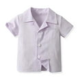 thumbnail image 3 of Loopsun Toddler Summer Sets, Boys Suit Lapel Casual Short Sleeve Shirt and Shorts Two-piece Set Purple 6-12 Months, 3 of 4