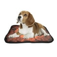thumbnail image 2 of PKQWTM Computer Generated Fireball Explosion Black Space Pet Dog Cat Bed Pee Pads Mat Cushion Potty Dogsblankets Crate Bed Kennel 36x48 inch, 2 of 3