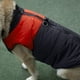 thumbnail image 5 of Chaleco de plumas para perros grandes, naranja, duradero para aventuras al aire libre (2XL), impermeable y acolchado, 5 of 8