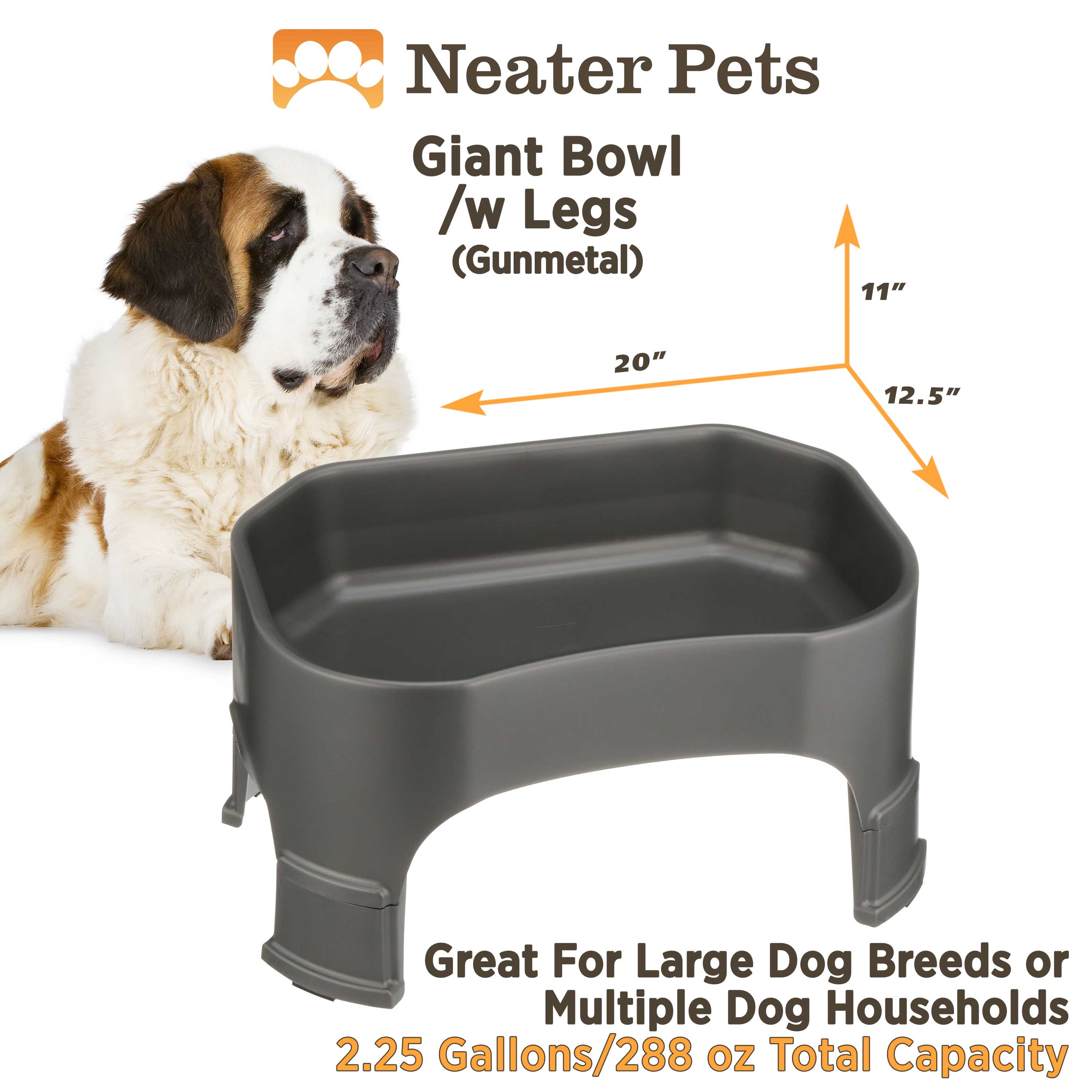 Neater Pet Brands – Neater Raised Slow Feeder Dog Bowl – Elevated and Adjustable Food Height - (2.5 Cup, Aquamarine)