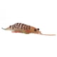 thumbnail image 5 of Modelo de animal marino, modelo de animal de camarón marino, figuras de animales marinos, modelo de juguete de animal marino, artesanía superior, 5 of 14