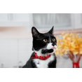 thumbnail image 2 of Hartz Hairball Remedy plus for Cats, 2 of 5