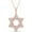 Rose, variant on 925 Sterling Silver 14K White Gold Finish Round Cut White Diamond Jewish Faith Star Of David Pendant Necklace for Women