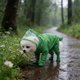 thumbnail image 4 of Impermeable para perro Abrigo impermeable con capucha para mascotas de exterior • Diseño de amplia cobertura • Chaqueta de seguridad reflectante transpirable • Prenda ligera plegable, 4 of 6