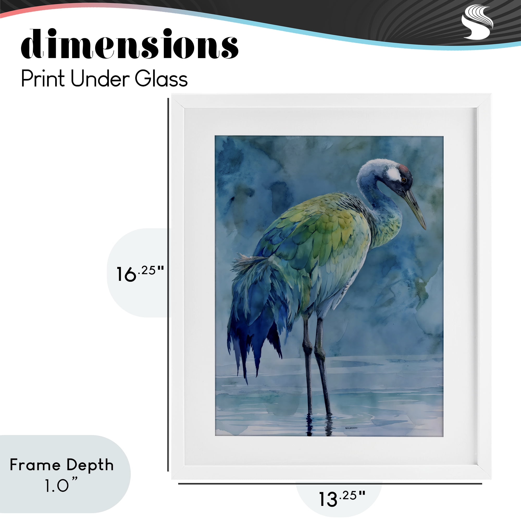 Stupell Industries Turquoise Feathered Coastal Bird White Framed Print Under Glass, design by Franklyn Gregory