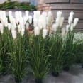 Newce Reed Wholesale Simulation Setaria Potted Large Simulation Dried