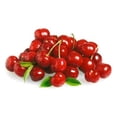 Dwarf North Star Cherry 45 ft.