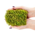 thumbnail image 4 of ⭐ Preserved Sheet Moss in Natural Green | Decorative Real Natural Green DIY Kit Terrariums Gardenning Art Wall Decor Florist Decor Easter Table Decor Wedding - 3 QUART, 4 of 6
