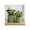 Green, variant on Patterned Flower Pots for Home Decor - Arch Ceramic Planters for Indoor and Outdoor Display - Modern Plant Pots for Living Room, Bedroom, Shelf, and Entryway Styling - Set of 2, 7", 5", Green