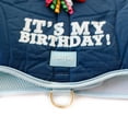 thumbnail image 3 of Packed Party Birthday Dog Harness, Small, 3 of 6